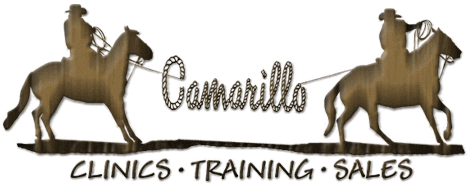 Camarillo Team Roping